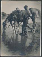 cca 1940-1950 Lóitatás, Beller Iván fotóműhelyéből, 18×13,5 cm