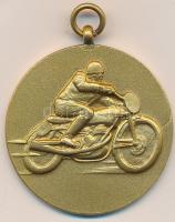 1951. augusztus 19. Veszprém "Magyar Szabadságharcos Szövetség" motoros, aranyozott bronz ...
