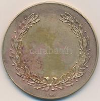 DN "Weiss Manfréd Vállalatok Testedző Köre" Br díjérem. Szign.: Fonyó (50mm) T:2-
