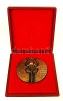 Asszonyi Tamás (1942-): SZOT díj 1974. Bronz plakett, jelzett, eredeti tokjában, d:9 cm