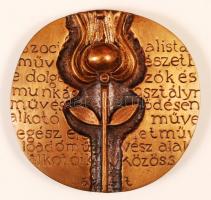 Asszonyi Tamás (1942-): SZOT díj 1974. Bronz plakett, jelzett, eredeti tokjában, d:9 cm