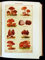 A magyar család aranykönyve. Útmutató a családi élet minden ügyében. I-III. kötet.
I.: Egészség, lak...