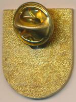 DN "56-os Magyarok Világszövetsége" zománcozott kitűző (18x14mm) T:2