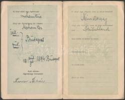 1918 Németországban kiállított magyar útlevél / Passport issued in Berlin