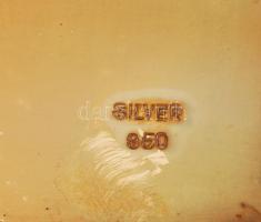 cca 1910 Ezüst cigarettatárca növényi díszítéssel. Jelzett. / Silver cigarette holder 9x17 cm, 211 g