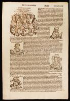 Buda fametszetű látképe Hartmann Schedel: Liber Chronicarum (Nürnberg, 1493) című munkájának latin n...