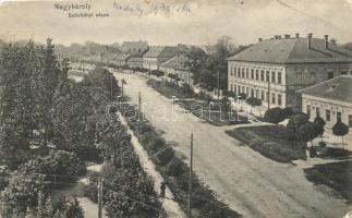 Nagykároly, Széchenyi utca, zsinagóga, kiadja Csókás László / street, synagogue (EK)