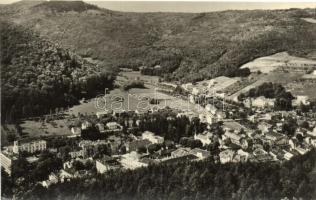 2 db VEGYES szlovák (felvidéki) városképes lap; Trencsén, Trencsénteplic / 2 mixed Slovakian town-view postcards; Trencsén, Trencsénteplic