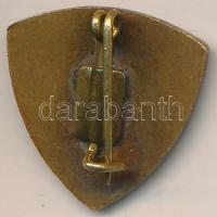 DN Budapest "Petőfi Sándor Gimnázium 75 év" zománcozott kitűző (18x18mm) T:2