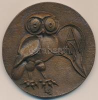 Ligeti Erika (1934-) 1986. "425 éves a debreceni nyomdászat" Br plakett (65mm) T:2