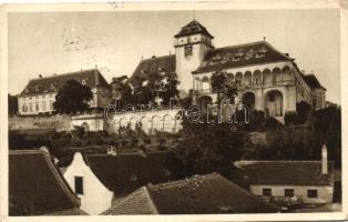 Jaroslavice, Joslowitz; Schloss / castle (EK)