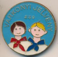 DN Várkonyi jelvény 239, zománcozott kitűző (40mm) T:2