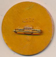 DN "Záhony" zománcozott kitűző (34mm) T:2