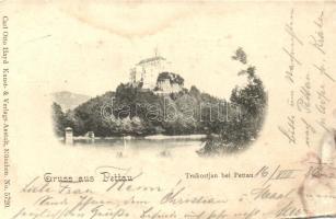 1898 Ptuj, Pettau; Trakostjan (b)