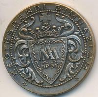 Berán Nándor (1889-1965) DN "Kegyesrendi Gimnázium / Első piarista gyorsíróverseny - A II. legjobb alsó osztályos gyorsírónak" ezüstözött Br emlékérem (35mm) T:2
