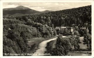 3 db RÉGI német és lengyel városképes lap; Nikolskoe, Bad Ziegenhals, Stubbenkammer / 3 old German a...