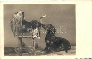 5 db RÉGI motívumlap; Bonzo, kutya / 5 old motive cards; Bonzo, dog