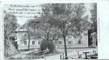 10 db RÉGI külföldi városképes lap; amerikai, osztrák és olasz / 10 old foreign town-view postcards;...