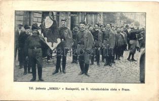 Praha, Tel. jednota 'SOKOL' v Budapesti, na V. vsesokolském sletu v Prazne / Hungarian Sokol group (wet damage)