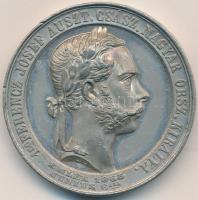 1865. "Első Ferencz József Ausztria Császára Magyarország Királya / Király és nemzet szeretetében, törvény és igazság tiszteletében..." fém emlékérem (43mm) T:2