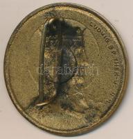 Zsákodi Csiszér János (1883-1953) 1930. "Sanctus Emericus" Br jelvény "Ludvig" g...