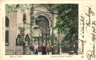 Buziásfürdő, Mihály forrás / spring (kis szakadás / small tear)