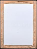 Victor Vasarely (1908-1997): Vega ZETT-4. Szitanyomat,  papír, jelzett, számozott (110/84), 35×34 cm