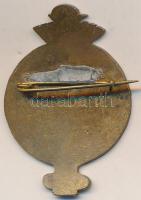 1967. "Kabay Gyógyszerészeti Tudományos Konferencia Nyíregyháza" zománcozott fém jelvény T...