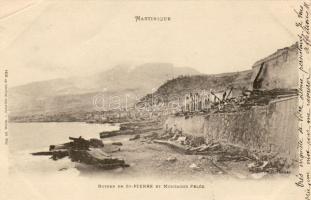 Martinique (win Riß)