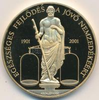 Kósa István (1953-) 2001. "Richter Gedeon RT. 2001 Centenárium / Egészséges fejlődés a jövő nemzedékéért - Aszklépiosz" aranyozott fém emlékérem eredeti dísztokban (42,5mm) T:PP