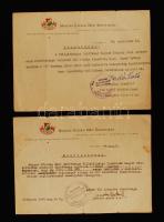 1949 Bp., a Magyar Ifjúság Népi Szövetsége igazolása és megbízólevele a Világifjúsági Találkozó szervezése ügyében.