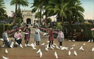 Sevilla, Ibero-American Exposition, pigeons