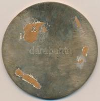 1975. "Katonai Főiskolák VI. Fesztiválja - Szolnok 1975" Br plakett (110mm) T:2 hátlapon r...