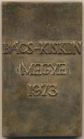 Bajnok Béla (1937-) 1973. "Petőfi Sándor / Bács-Kiskun megye 1973" Br plakett (126x76mm) T...