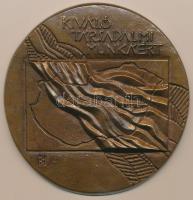 ~1970. "Hazafias Népfront Országos Tanácsa-Kiváló Társadalmi Munkáért" nagyalakú Br emlékp...