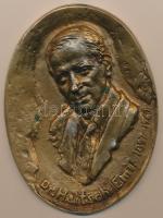 Nyírő Gyula (1924-2005) DN "Dr. Haitsch Emil 1897-1967"  Br plakett (110x86mm) T:1-