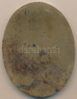 Nyírő Gyula (1924-2005) DN "Dr. Haitsch Emil 1897-1967"  Br plakett (110x86mm) T:1-