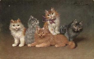 Cats, T.S.N. Serie 1564. artist signed (fl)