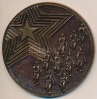 Asszonyi Tamás (1942-) 1978. "60 éves a magyar kommunista ifjúsági mozgalom" Br plakett (8...