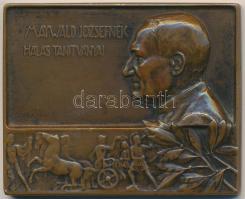 Yrjö Liipola (1881-1971) 1910. "Maywald Józsefnek hálás tanítványai" Br plakett (48x59mm) T:2