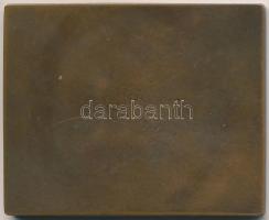 Yrjö Liipola (1881-1971) 1910. "Maywald Józsefnek hálás tanítványai" Br plakett (48x59mm) ...