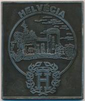 2001. "Millenium - Helvécia" fém plakett dísztokban (100x85mm) T:2