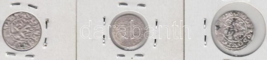 Vegyes: 30db-ból álló vegyes magyar, lengyel, török, német középkori és kora újkori ezüstpénz tétel,...