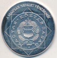 DN "A magyar nemzet pénzérméi - A rendszerváltás téves verete 1989-1990" Ag emlékérem (10....