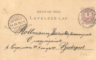 1896 Keszthely, kiadja Mérei Ignác; Grüss aus floral litho