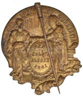 1895. "Általános Választási Jog - 888 Május Elseje 1895" festett réz kitűző, tű ferde (40x...