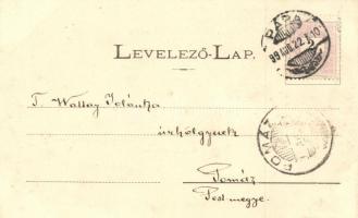 1899 Pápa, Zsinagóga, vasútállomás, dohánygyár, floral; Goldberg Gyula kiadása