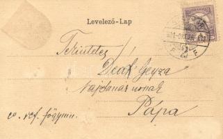 Szatmár, Székesegyház; kiadja Reizer János / cathedral, coat of arms litho