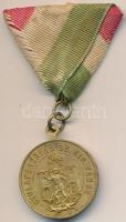 1893. "Gyulafehérvár Sz. Kir. Város / A Gyulafehérvári Ö. T. Egyl. Zászlója Felszentelési Emléke 1893 VIII/30." aranyozott fém emlékérem, karika cserélt, mellszalaggal T:2-