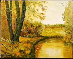 Bánát Klára: Őszi táj. Olaj, farost, jelzett, 45x32 cm